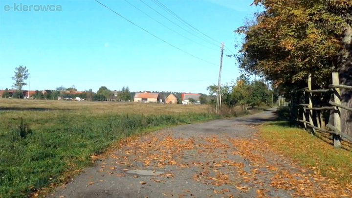 Czy leżące na jezdni liście mogą mieć wpływ na długość drogi zatrzymania pojazdu?